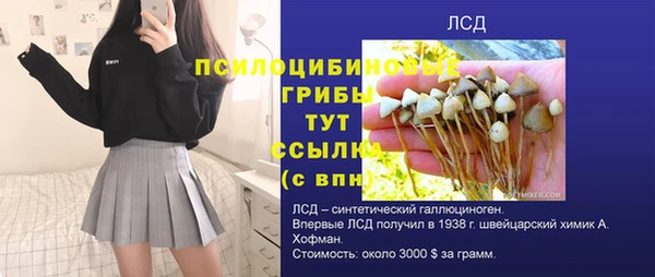 индика Дмитровск