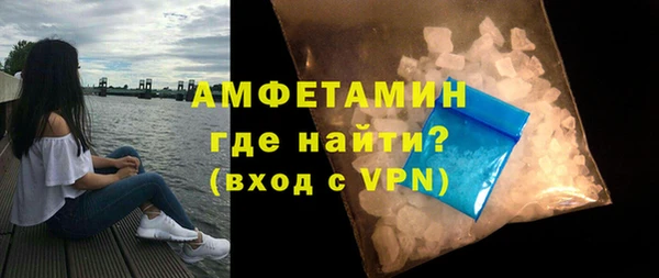 индика Дмитровск