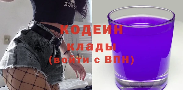 индика Дмитровск