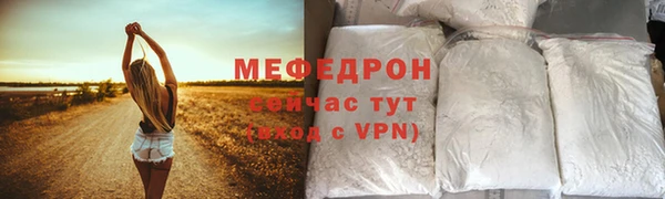 индика Дмитровск