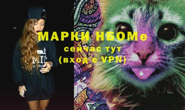 индика Дмитровск