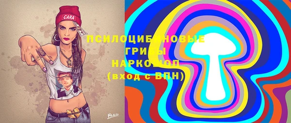мет Дмитриев