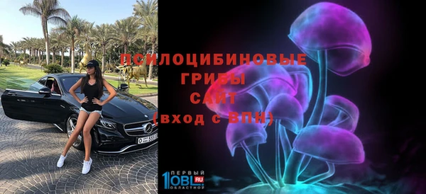 индика Дмитровск