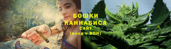 индика Дмитровск